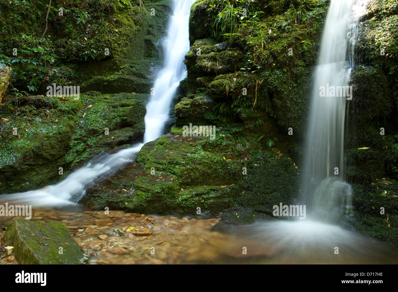 New Zealand, South Island, Marlborough Sounds, Queen Charlotte Sound, Ship'S Cove, Darby Falls