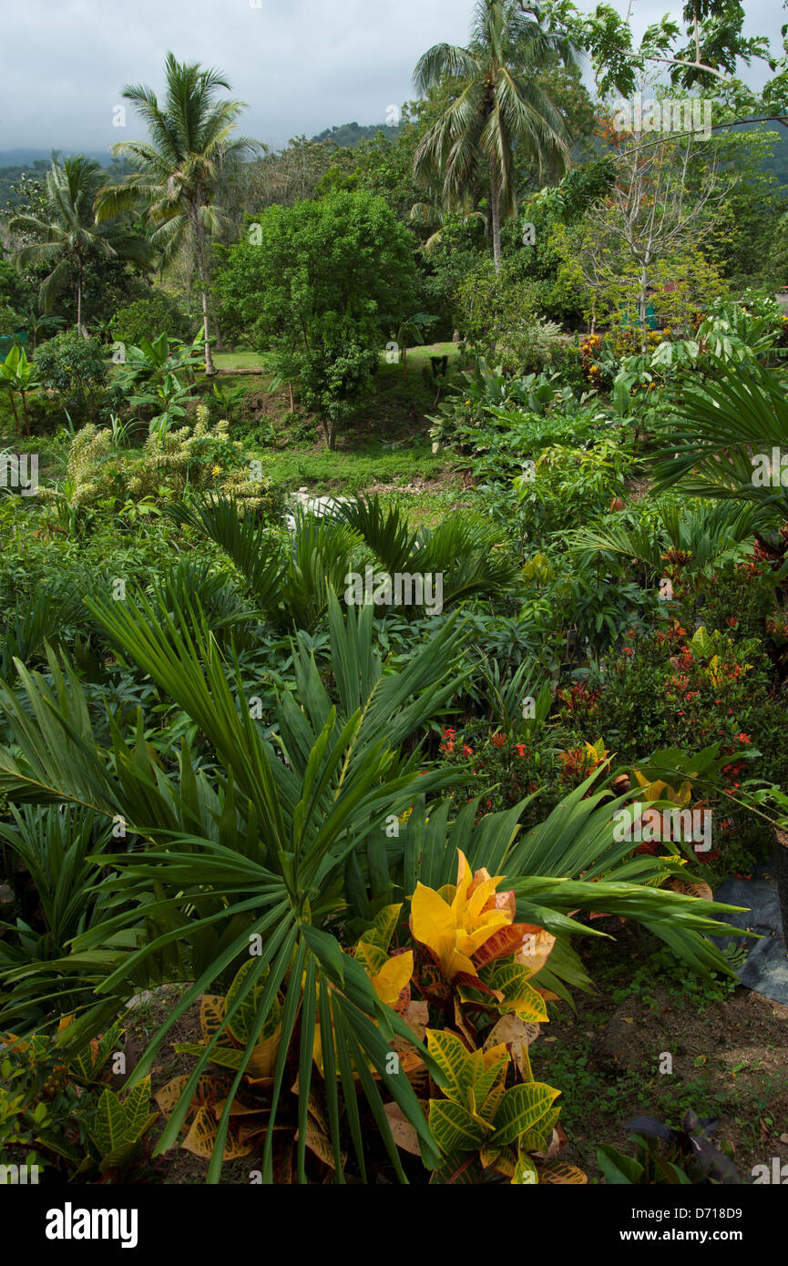 Nursery Near Tayrona National Park, Santa Marta, Colombia Stock Photo