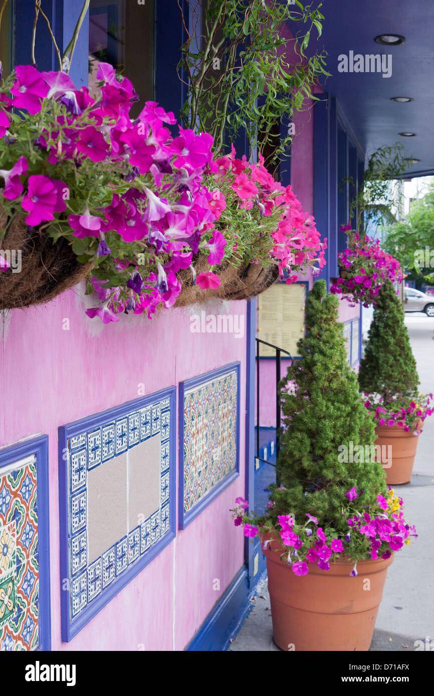 Flowers provide a visual delight in Boston. Stock Photo