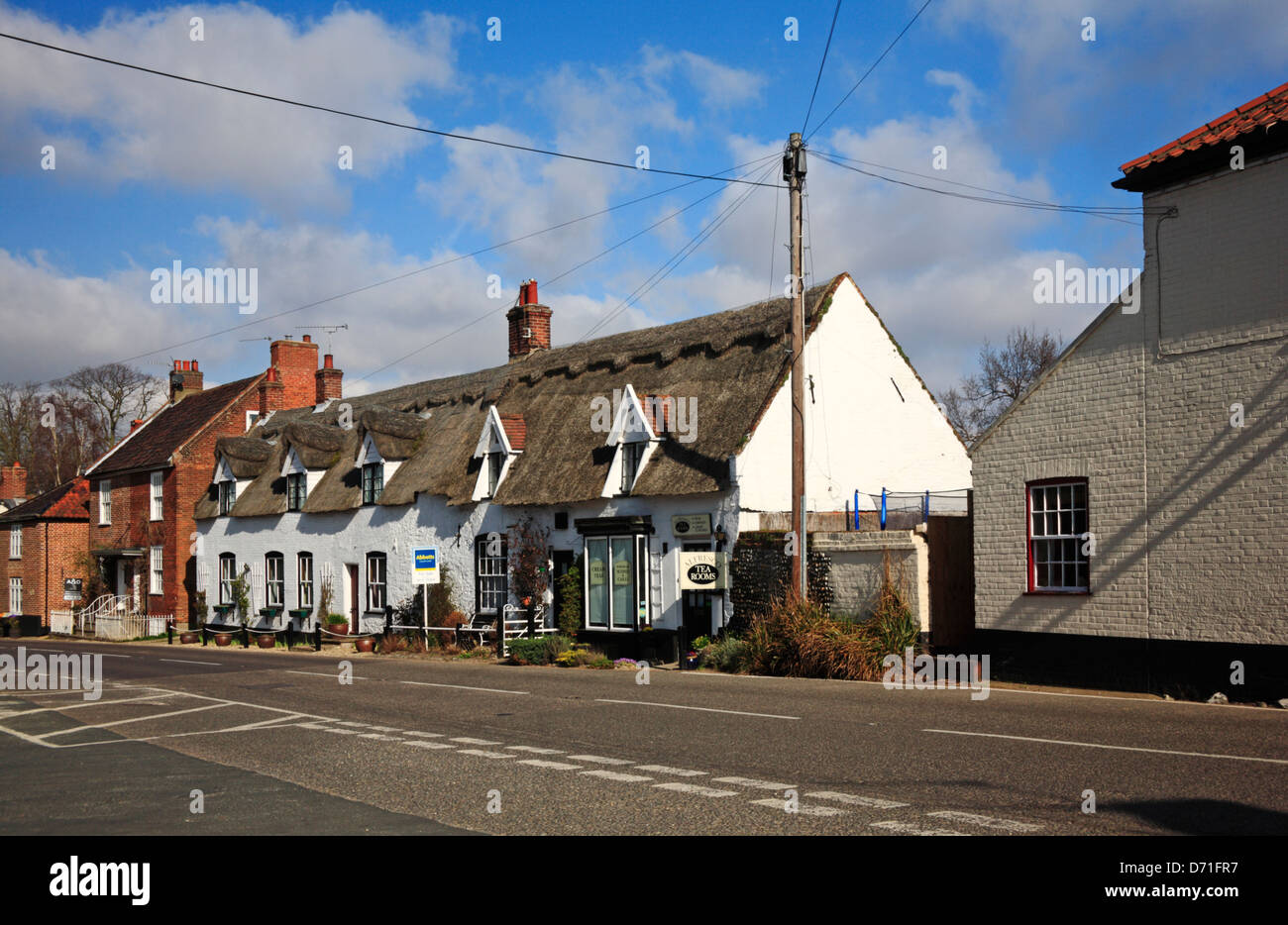 A row of traditional thatched Norfolk cottages at Ludham, Norfolk