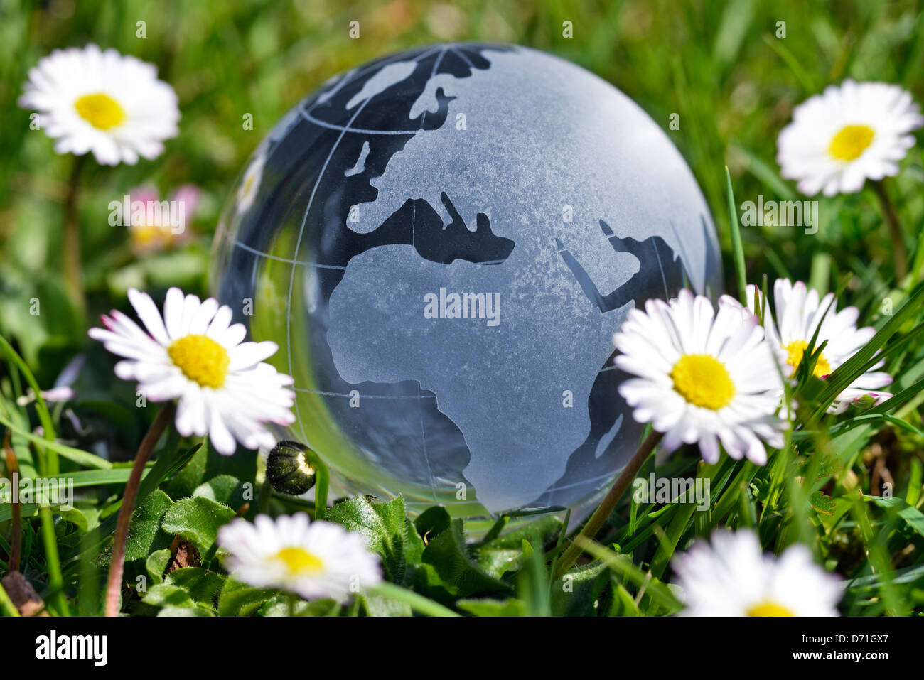 Globe in the grass, lastingness Stock Photo