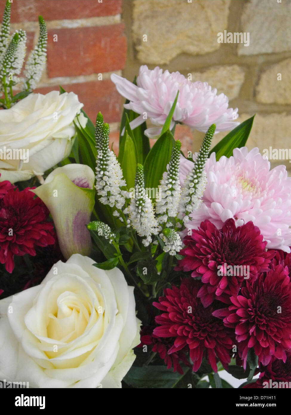 Bunch cut hires stock photography and images Alamy