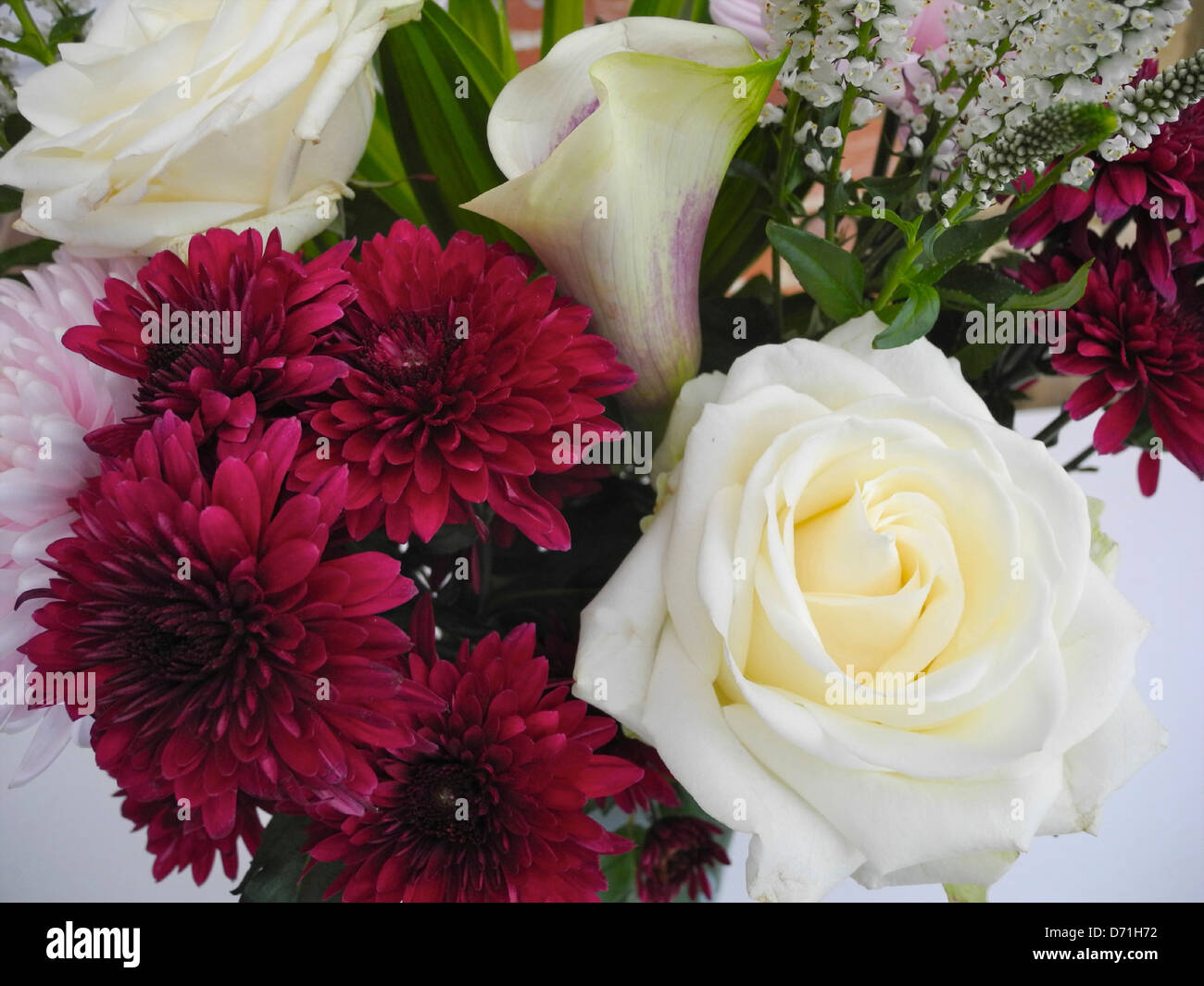 Flowers Bouquet bunch cut card flower display Stock Photo Alamy