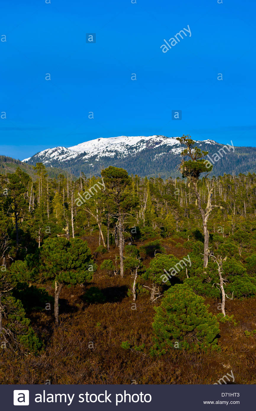 Klawock Stock Photos & Klawock Stock Images Alamy