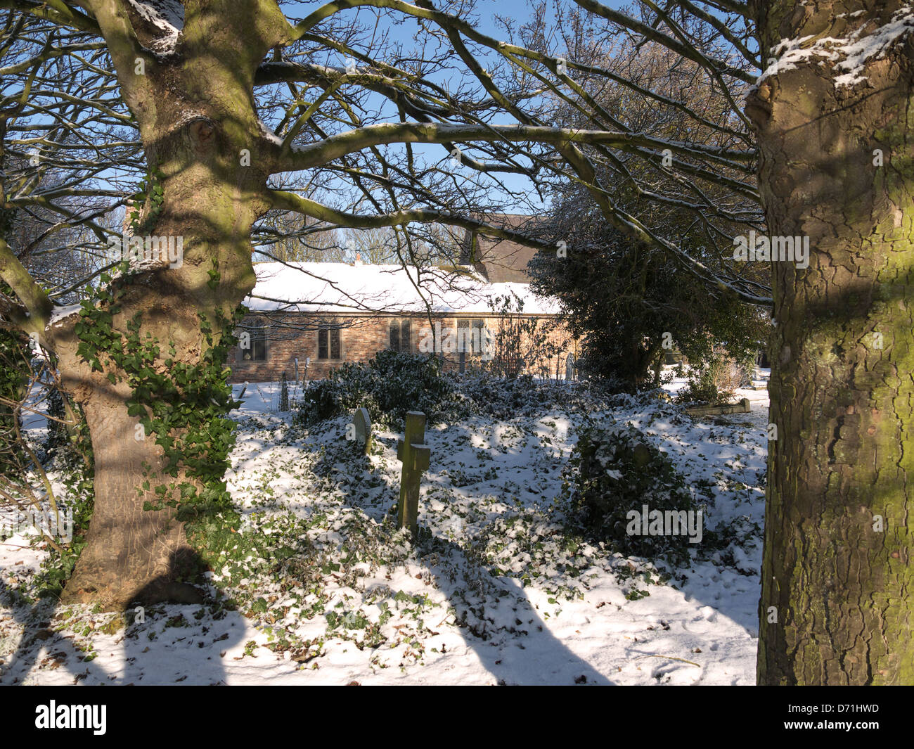 St. Mary's church through the trees Stock Photo - Alamy