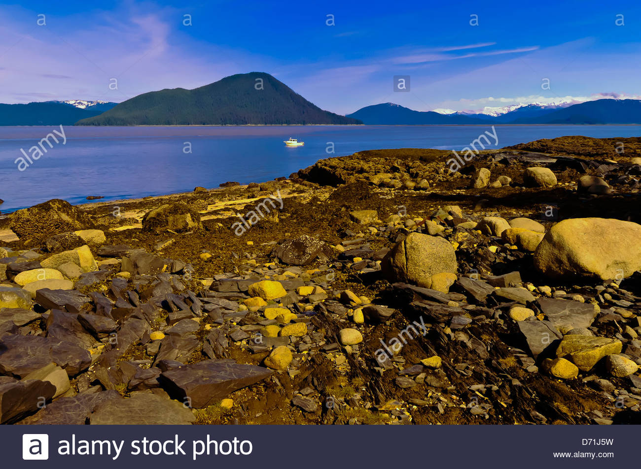 Petroglyph Beach Wrangell, Alaska Stock Photos & Petroglyph Beach