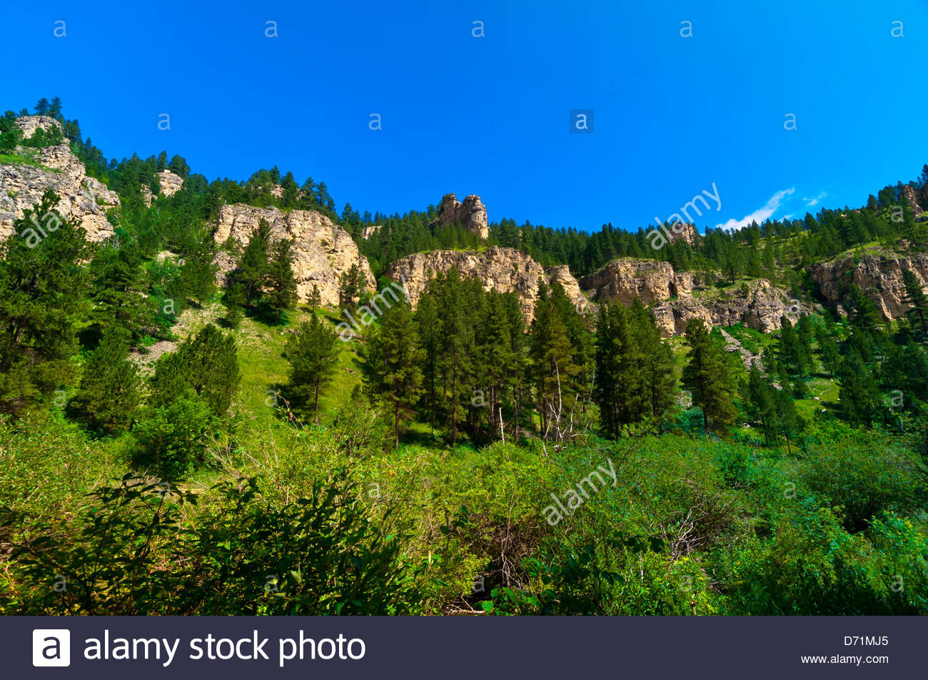 Lead South Dakota Stock Photos & Lead South Dakota Stock Images Alamy