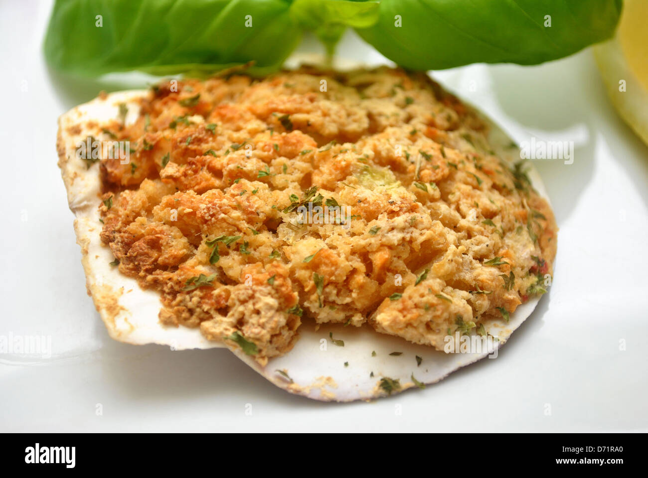 Stuffed Scallop Shell Appetizer Stock Photo Alamy