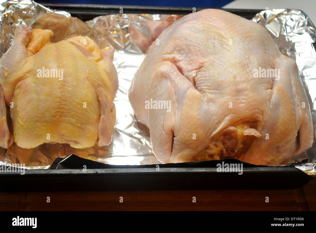 Raw Hen and Raw Chicken in a Baking Pan Stock Photo