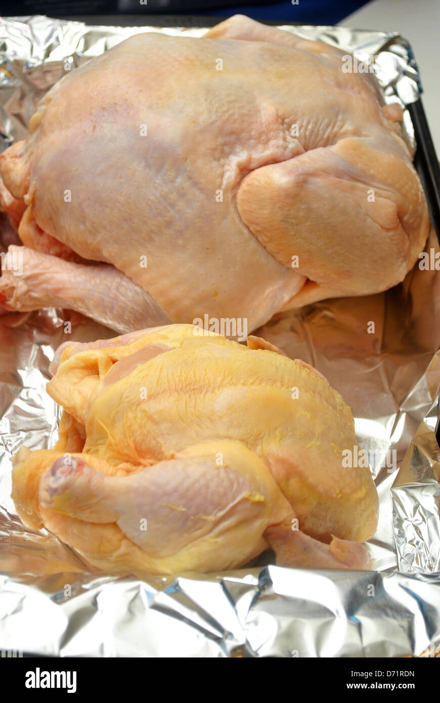 Raw Chicken and Cornish Hen Stock Photo