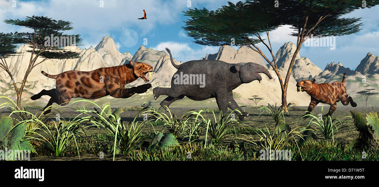 A Pair Of Saber-Toothed Tigers,Hunting A Young Deinotherium. Stock Photo