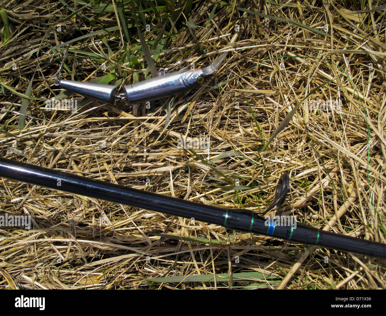 Plug fishing lure and rod on grass Stock Photo - Alamy