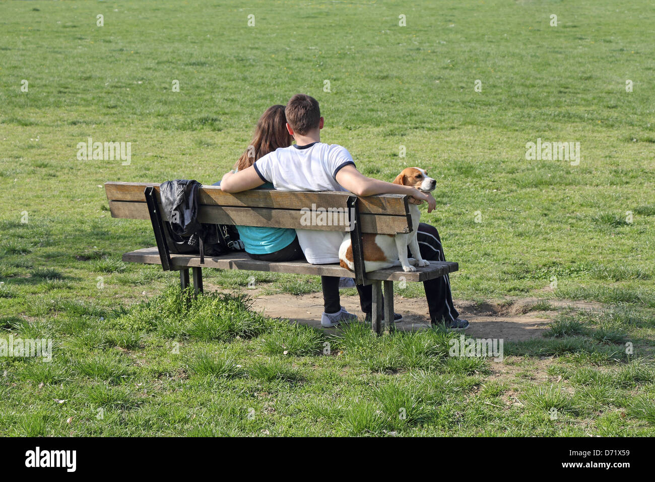 Young embracing couple with a dog sitting on a park bench Stock Photo ...