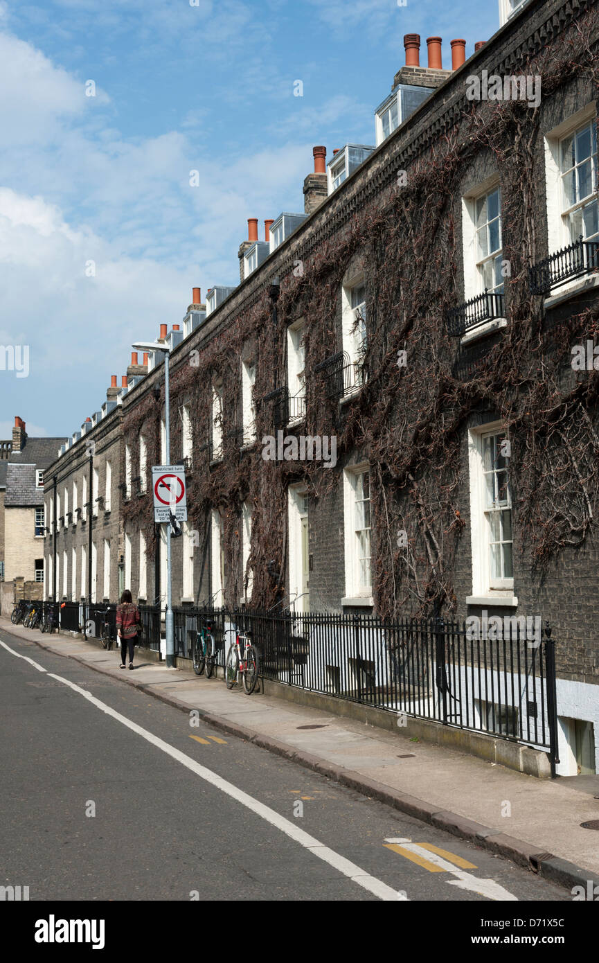 Terraced housing used for Cambridge University students in Malcolm Street Cambridge UK Stock Photo