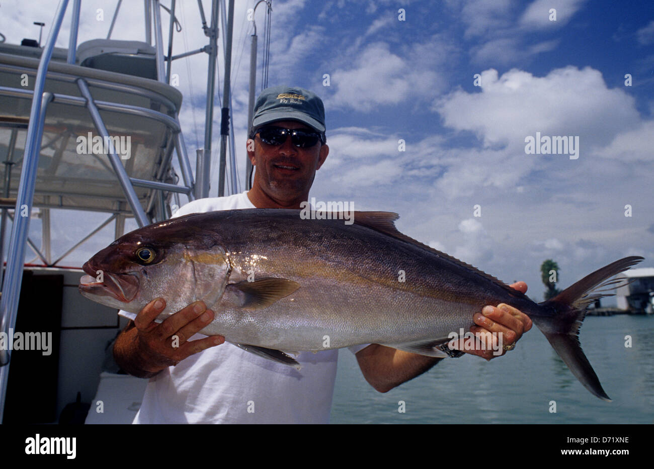 Fisherman holding a greater amberjack ((Seriola dumerili)) caught while fishing offshore at Port Aransas Texas Stock Photo