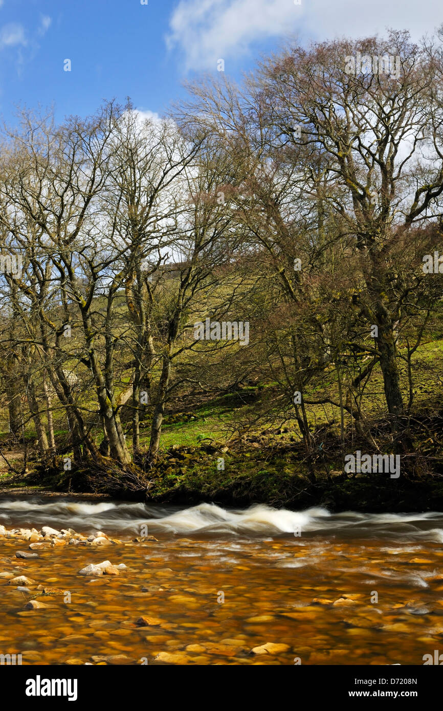 Tumbling water below Hollin's farm, Swaledale, Yorkshire, England Stock Photo