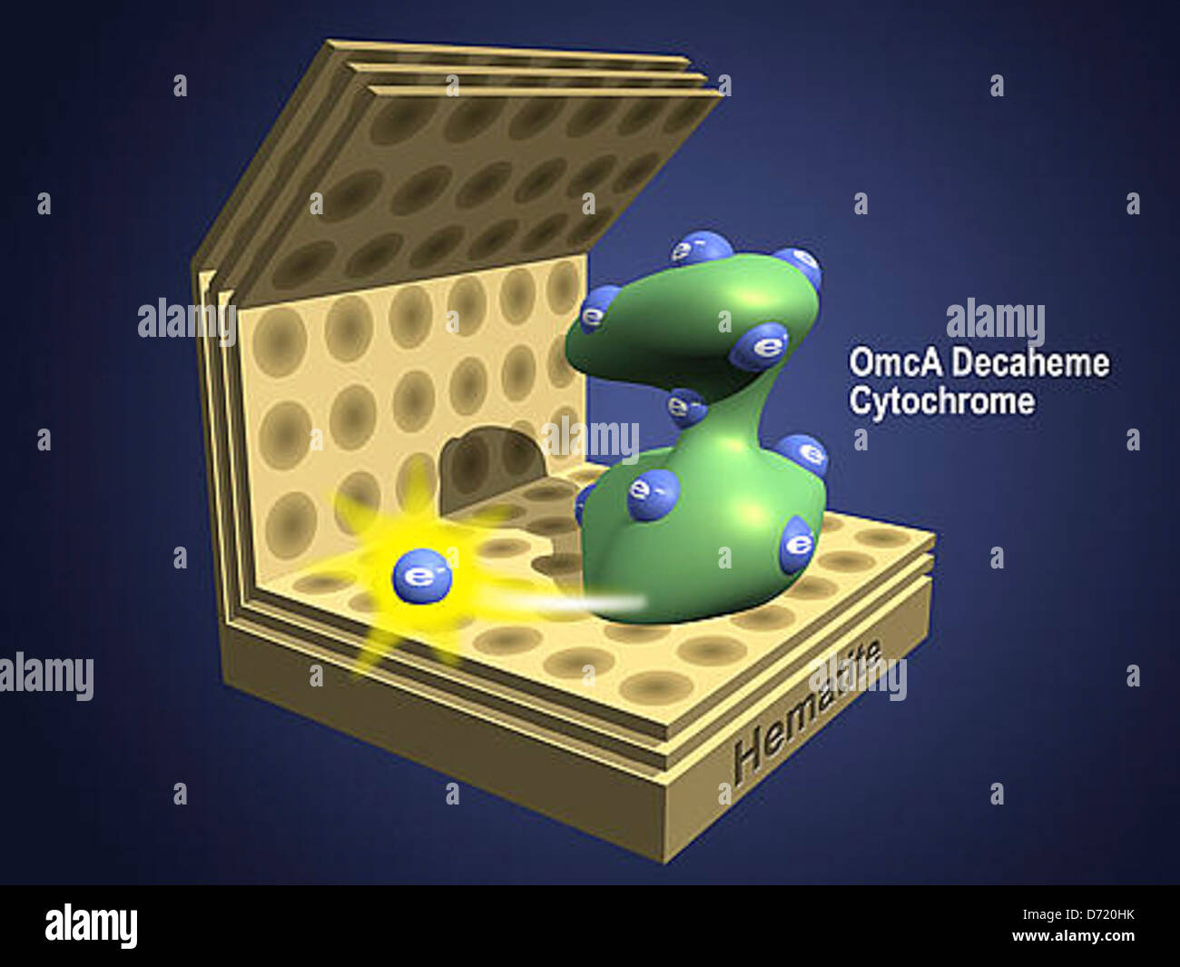 Sustainable synthesis hi-res stock photography and images - Alamy