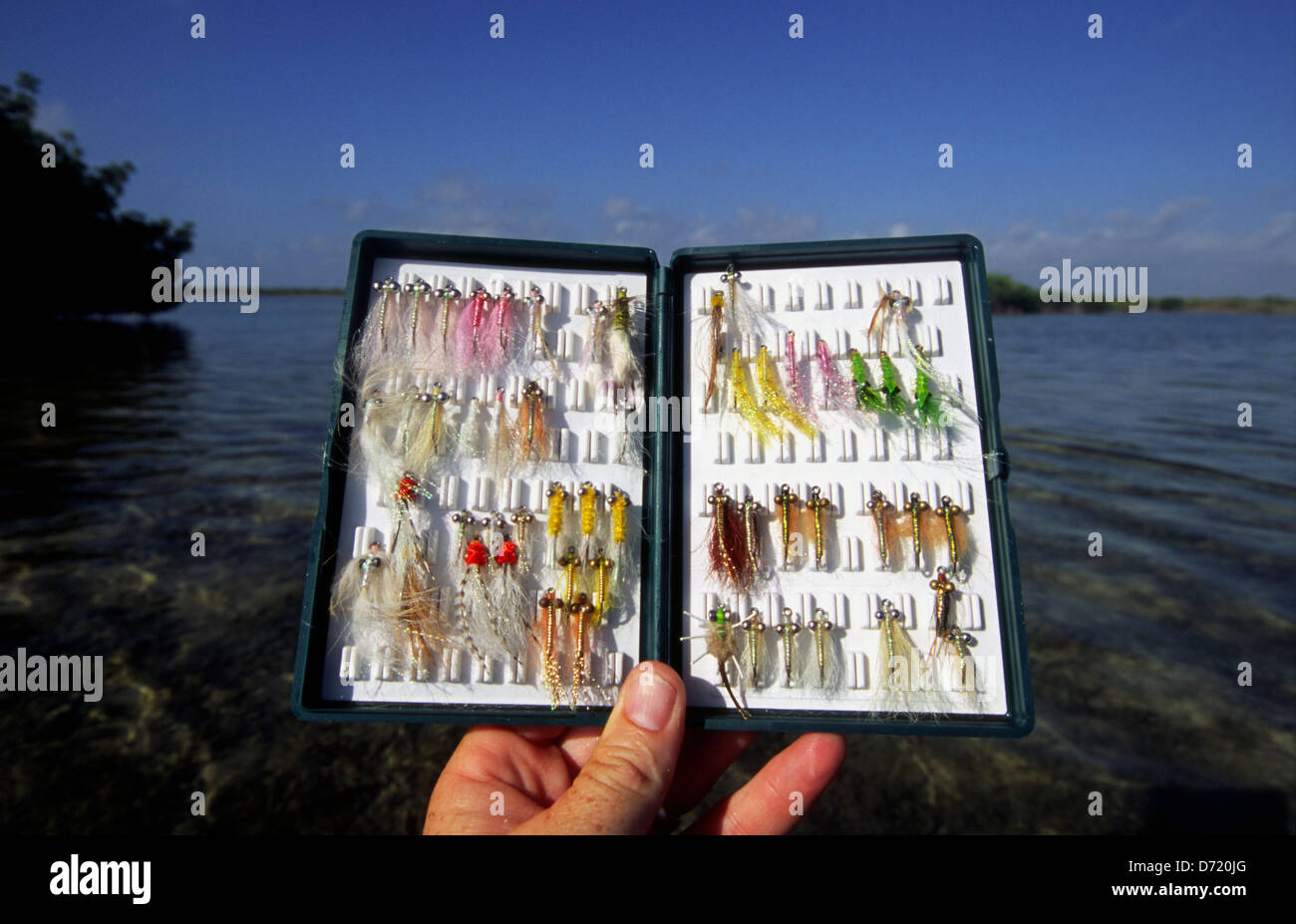 Fly fishing flies used for bonefish in Ascension Bay Yucatan Quintana Roo  Mexico Stock Photo - Alamy