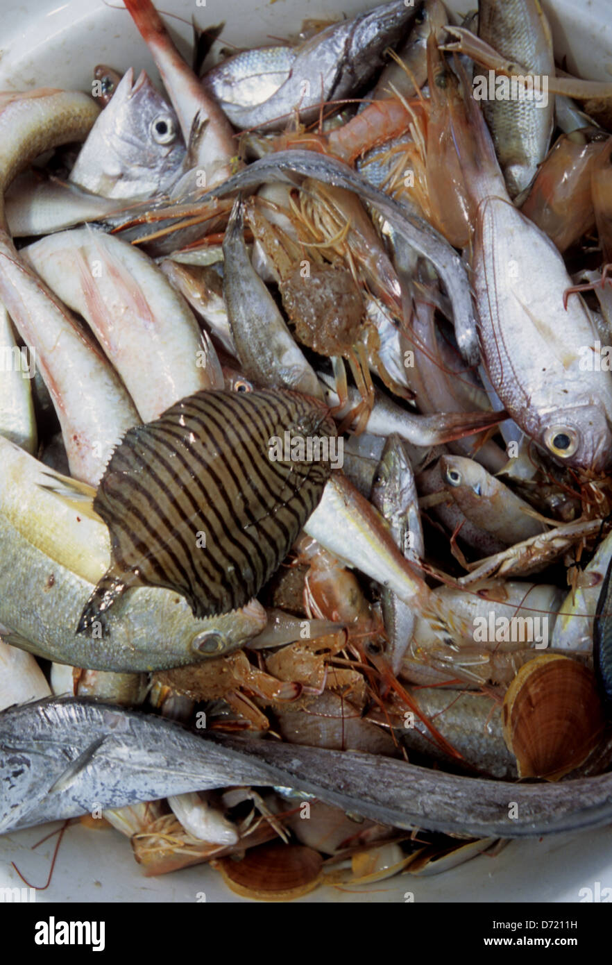 Chum Used For Offshore And Deep Sea Fishing Near Port Aransas Texas Stock Photo Alamy