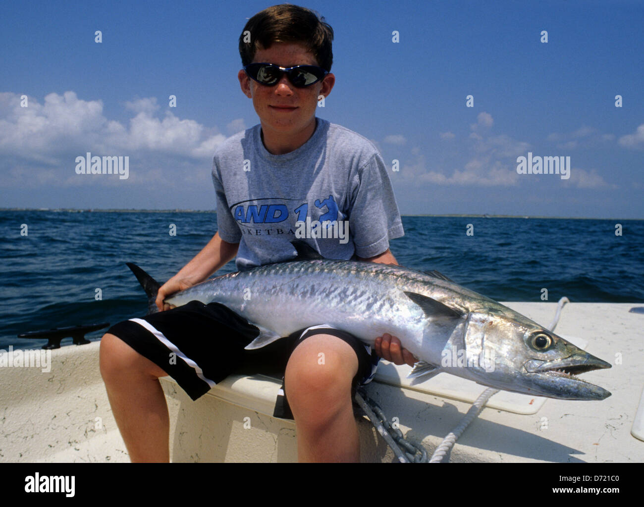 King mackerel wahoo hi-res stock photography and images - Alamy