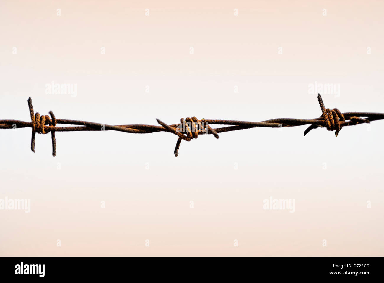 Rusty barbed wire Stock Photo