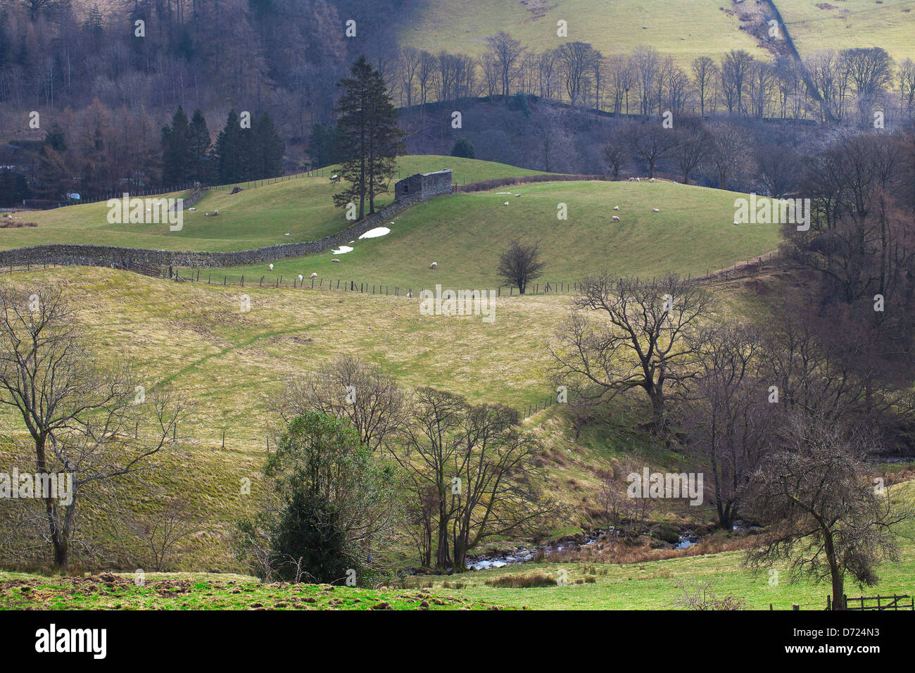 Rural valley in the Lake District near Troutbeck early spring. Stock Photo