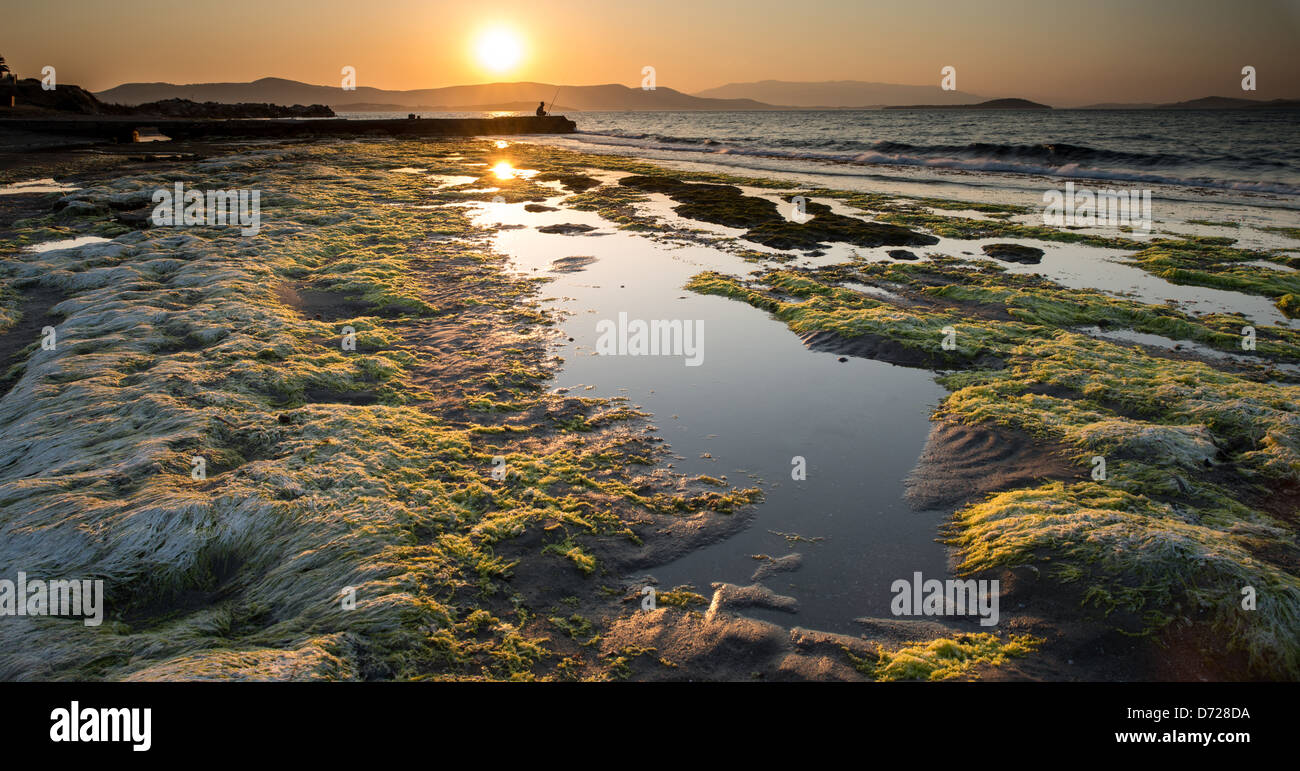 Reflection sun in waves hi-res stock photography and images - Alamy