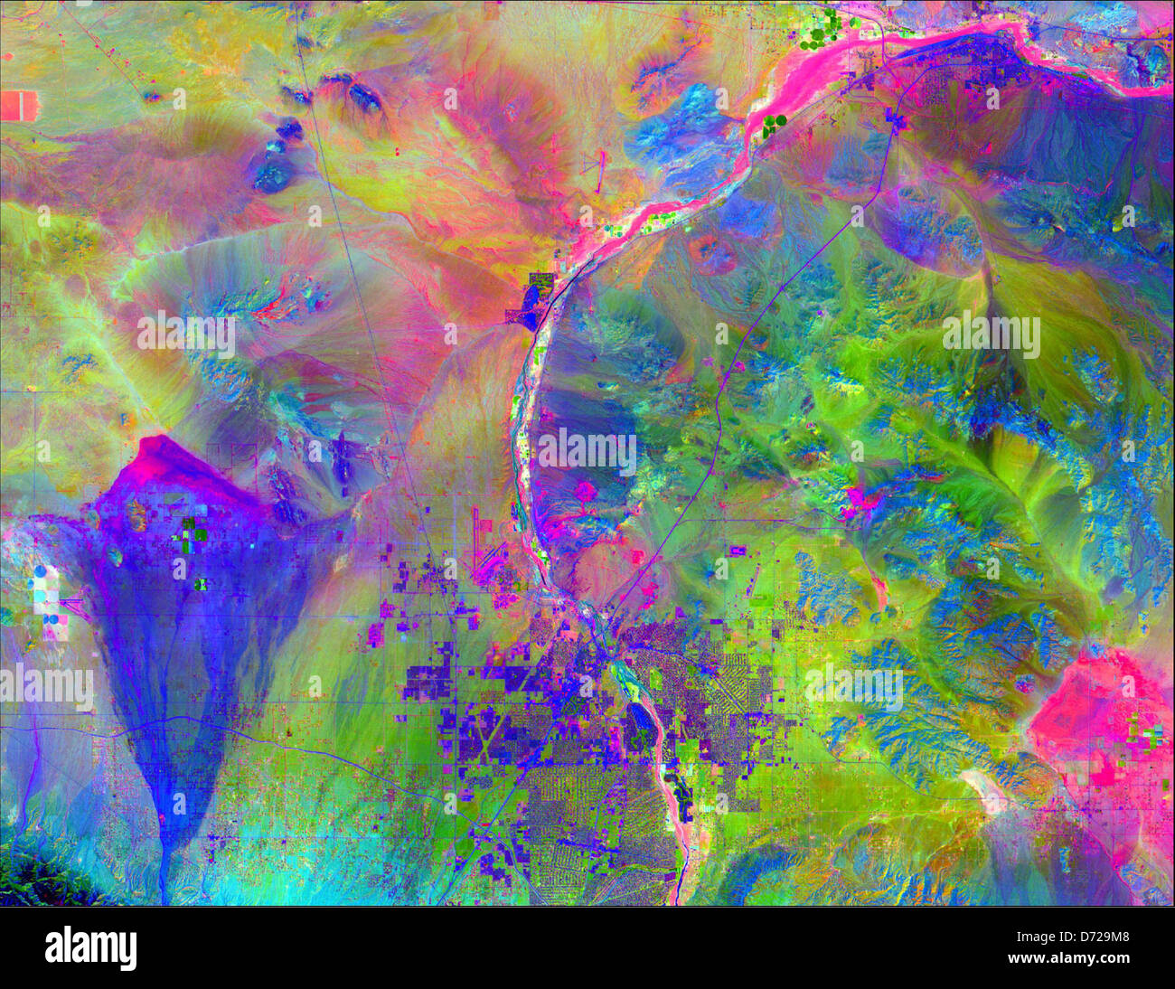 Ecology of the Mojave Desert Stock Photo - Alamy