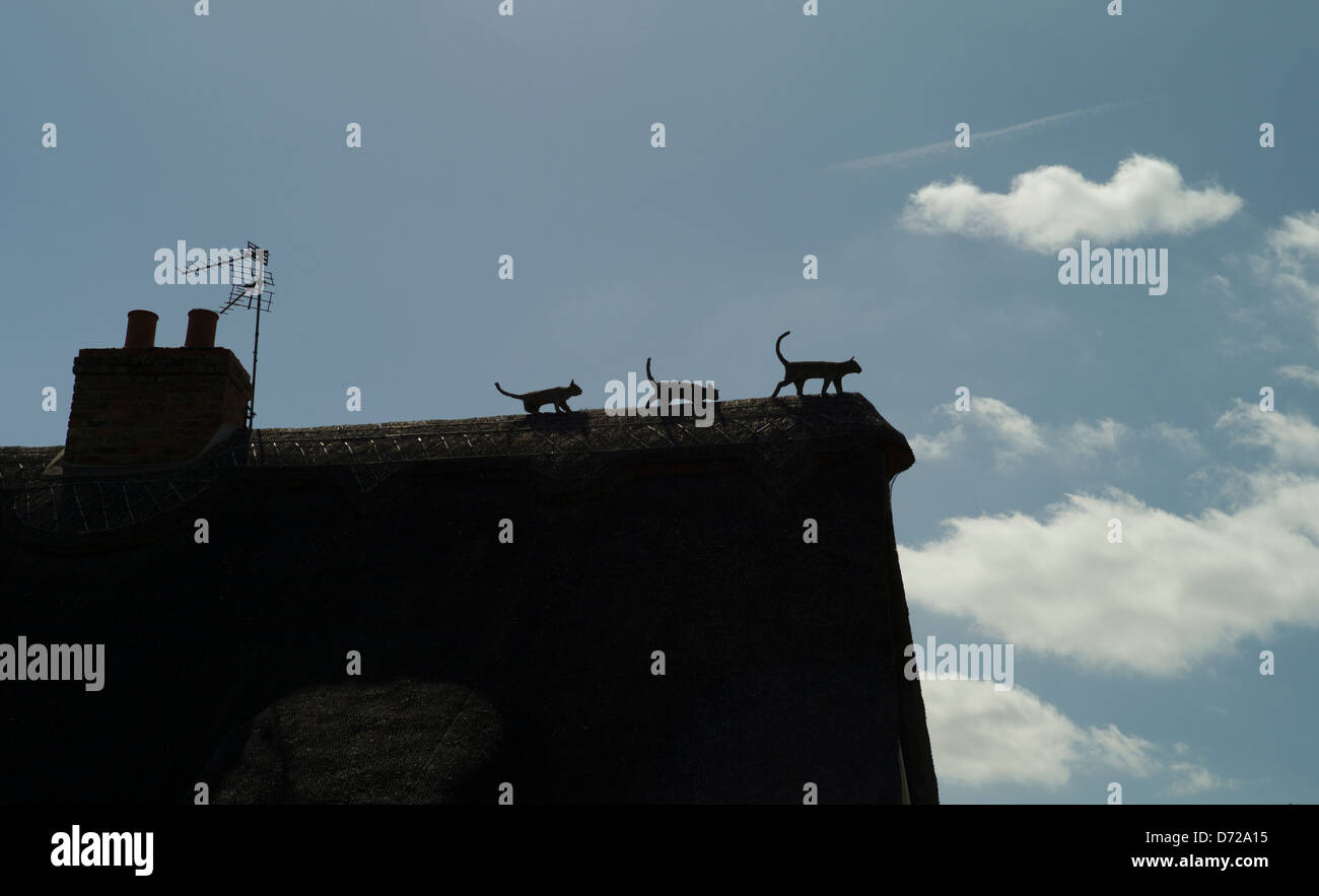 Easton Cambridgeshire, England April 2013. Easton a gem of an English