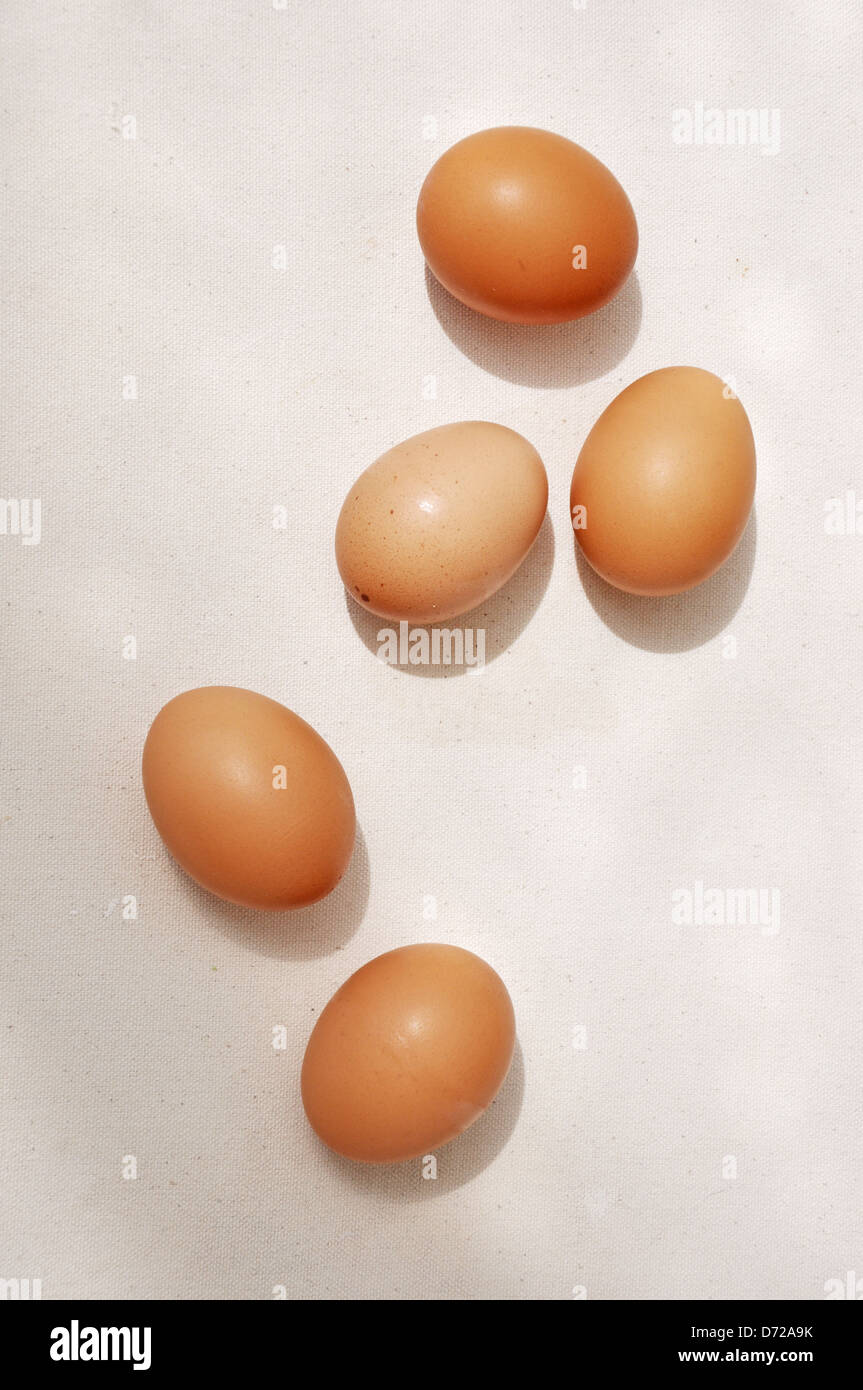 browns eggs ready to cook with Stock Photo