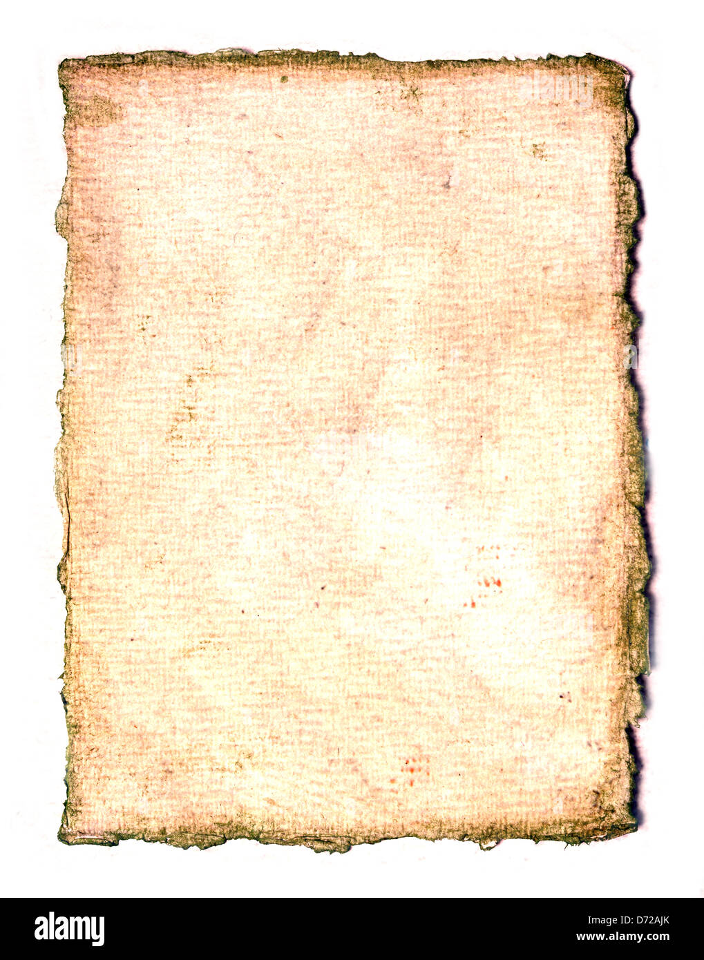 Deckle edged vintage parchment paper roughly textured Stock Photo