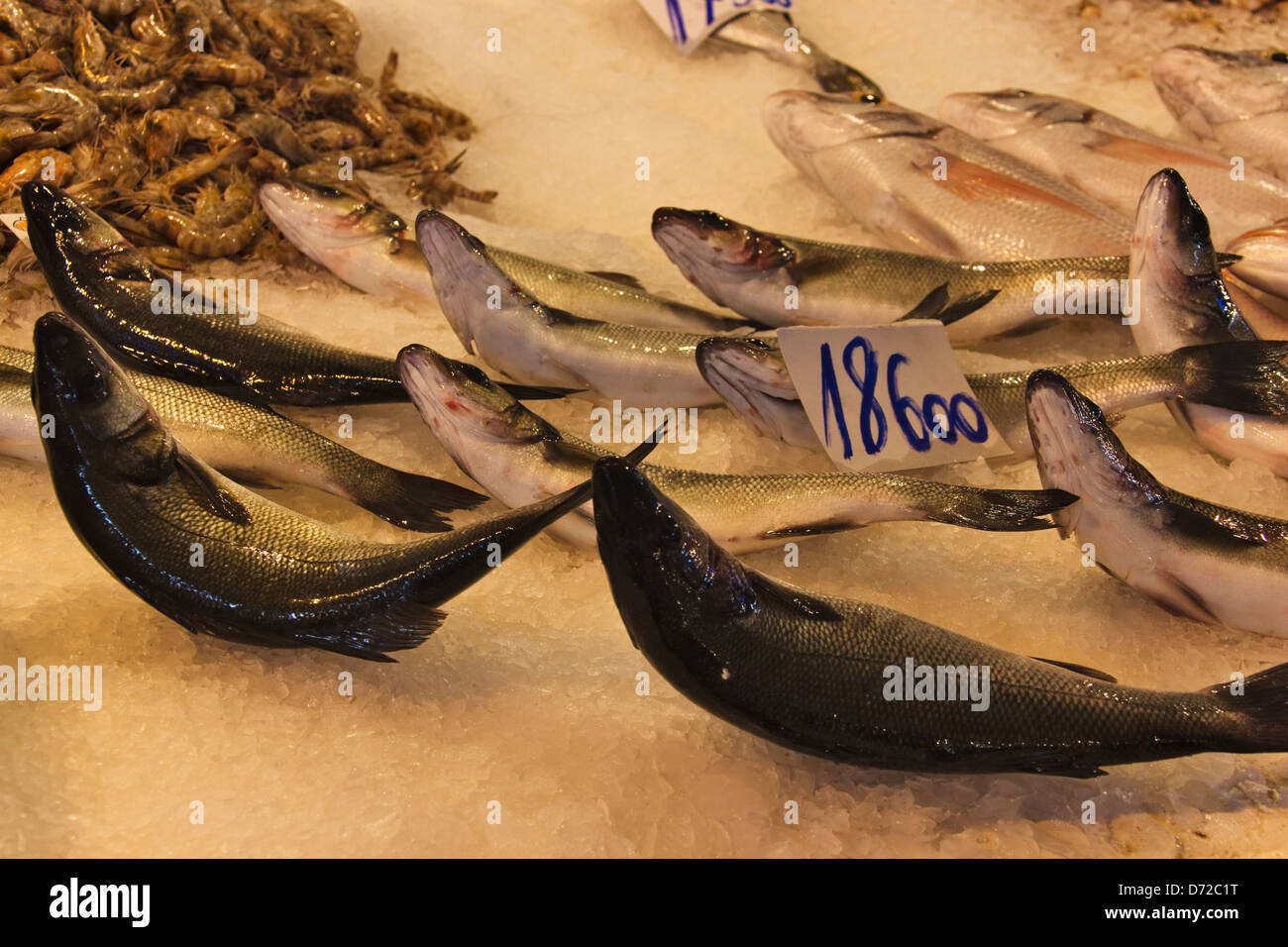 Fish market, Bizerte, Tunisia Stock Photo