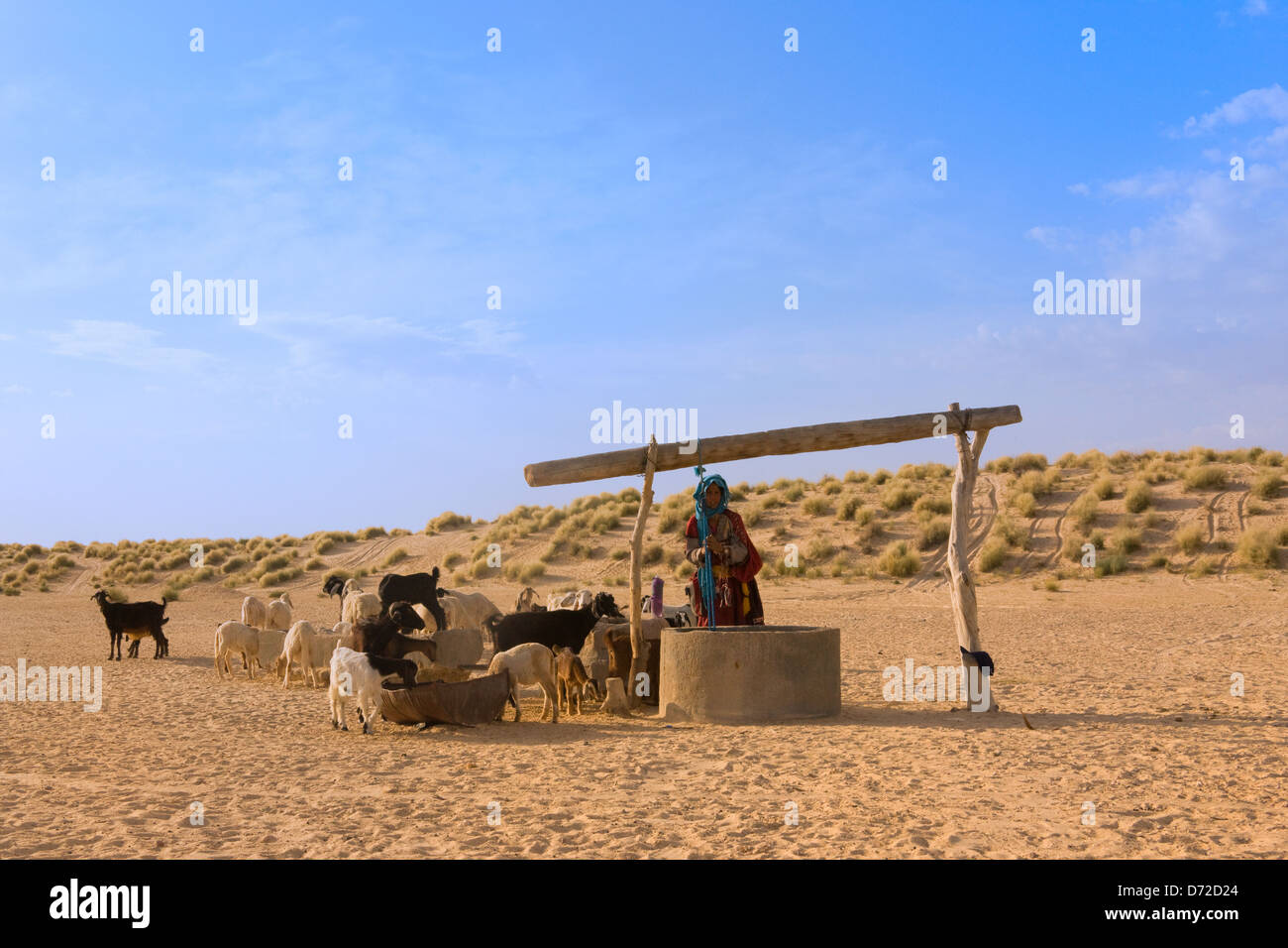 Fetching water from well in the desert to feed goats, mountain oasis of Nefta, Tunisia Stock Photo