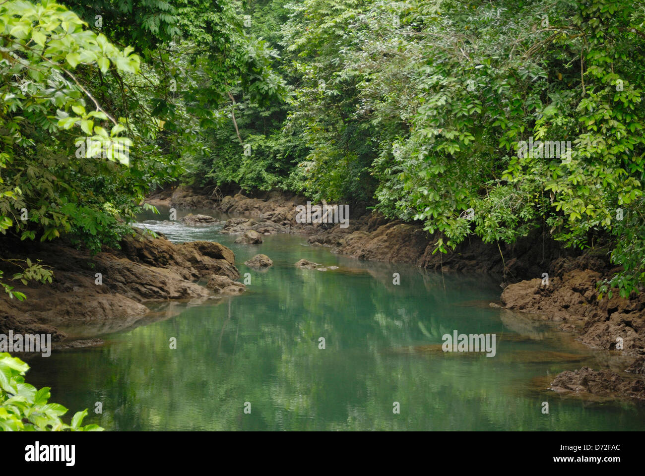 A river in the rainforest  on the Osa Peninsula, Costa Rica Stock Photo