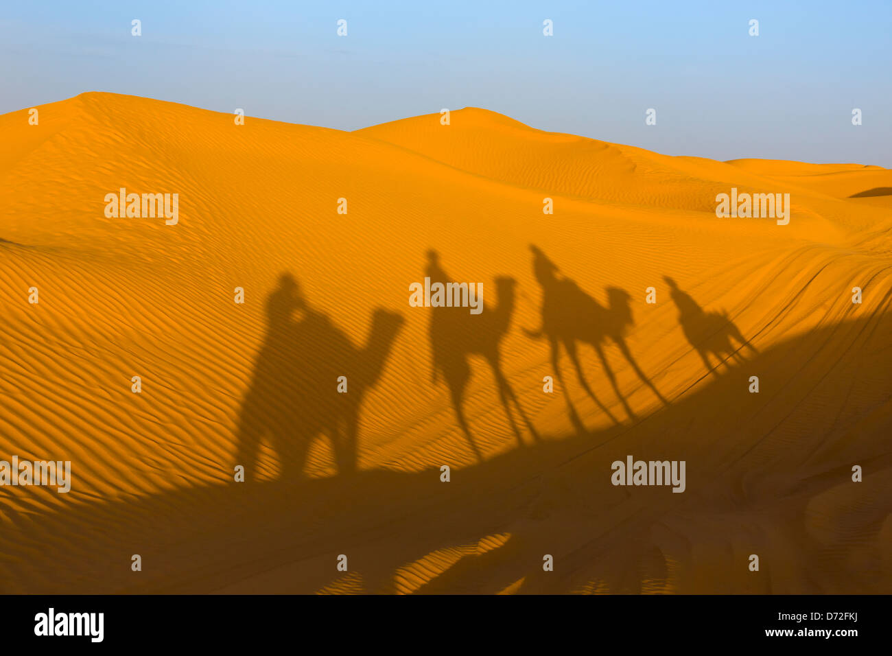 Shadow of camel caravan in Sahara Desert, Ksar Ghilane, Tunisia Stock Photo