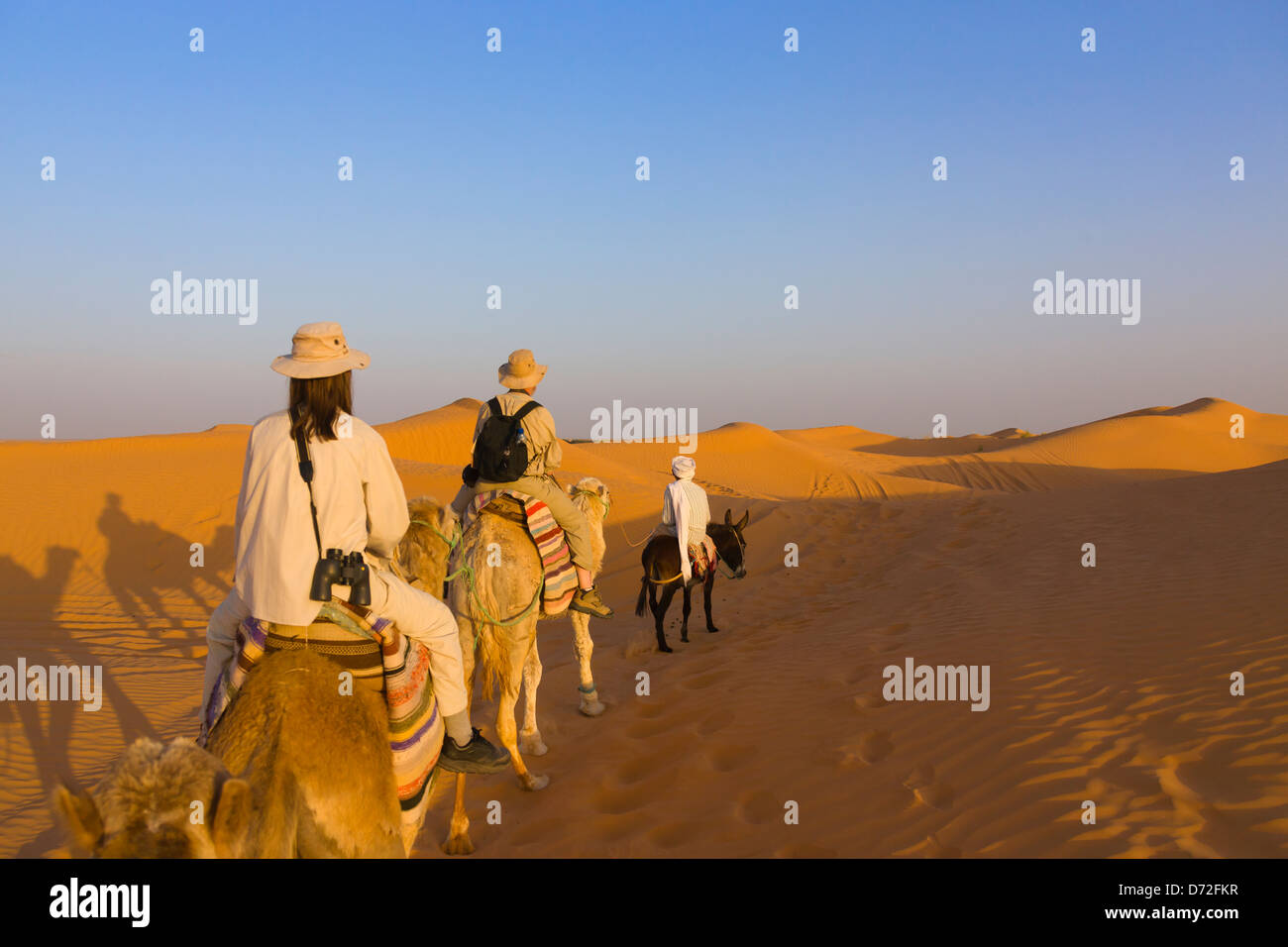 Camel caravan in Sahara Desert, Ksar Ghilane, Tunisia Stock Photo
