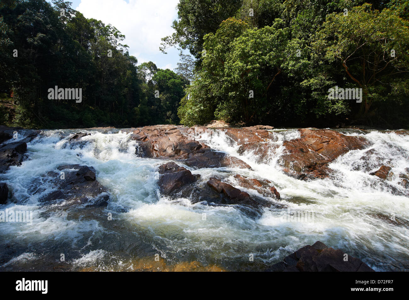 Jungle waterfall in Malaysia Endau-Rompin National Park Stock Photo - Alamy
