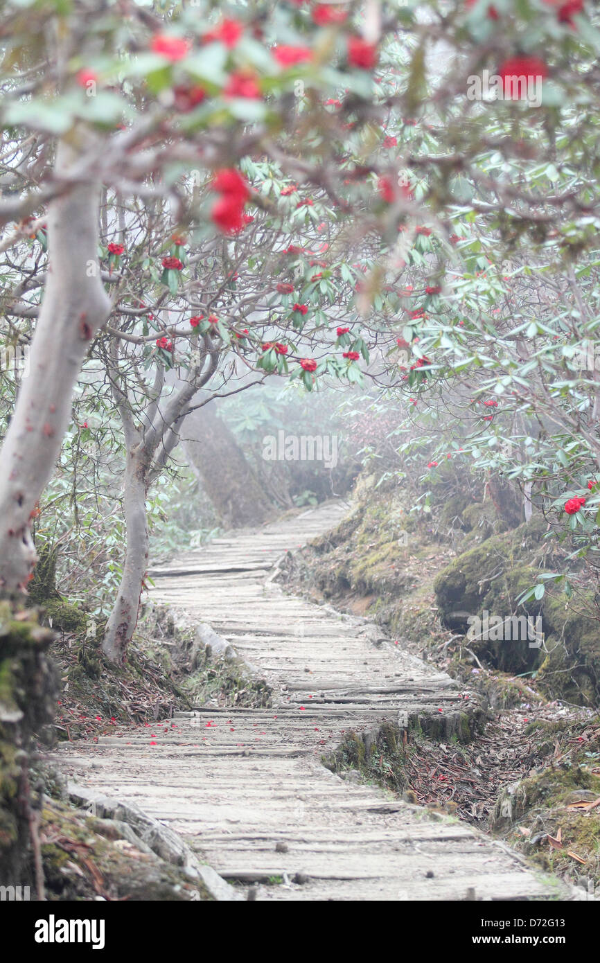 Nature Trails Geochala Trek. Stock Photo