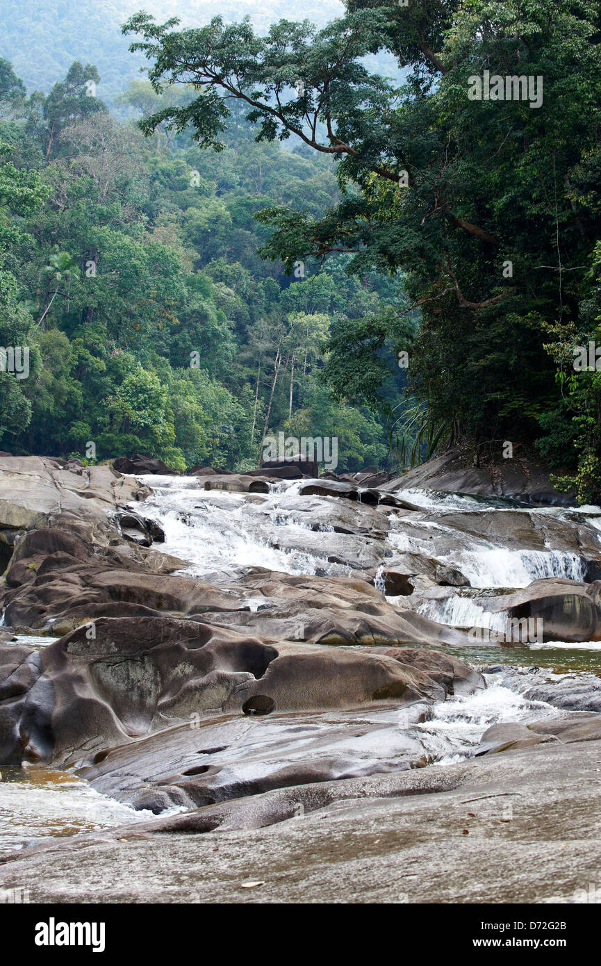 Endau rompin malaysia hi-res stock photography and images - Alamy