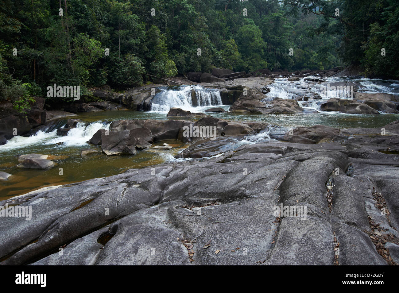 Endau rompin malaysia hi-res stock photography and images - Alamy