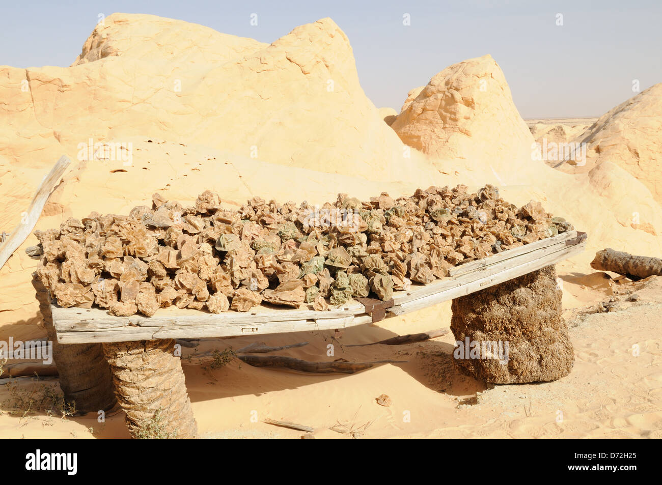 Desert  rose or Gypsum at petrified sand dunes near Douz Stock Photo