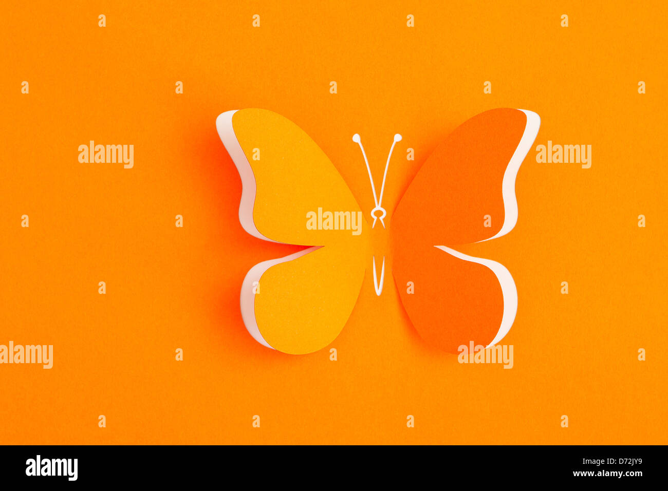 Butterfly design template hires stock photography and images Alamy