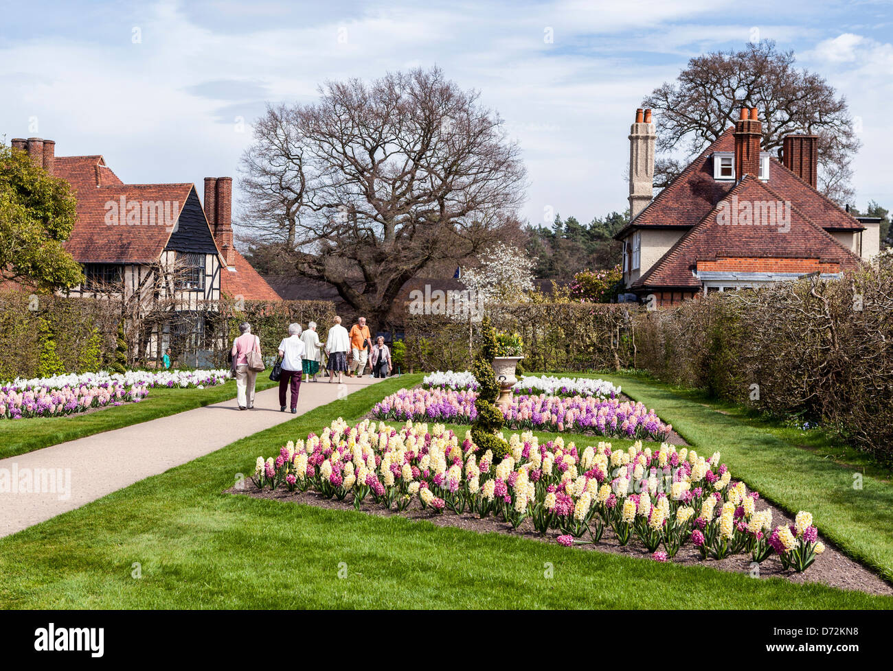 Hyacinths in a colourful bedding display in Spring at Wisley RHS Garden ...