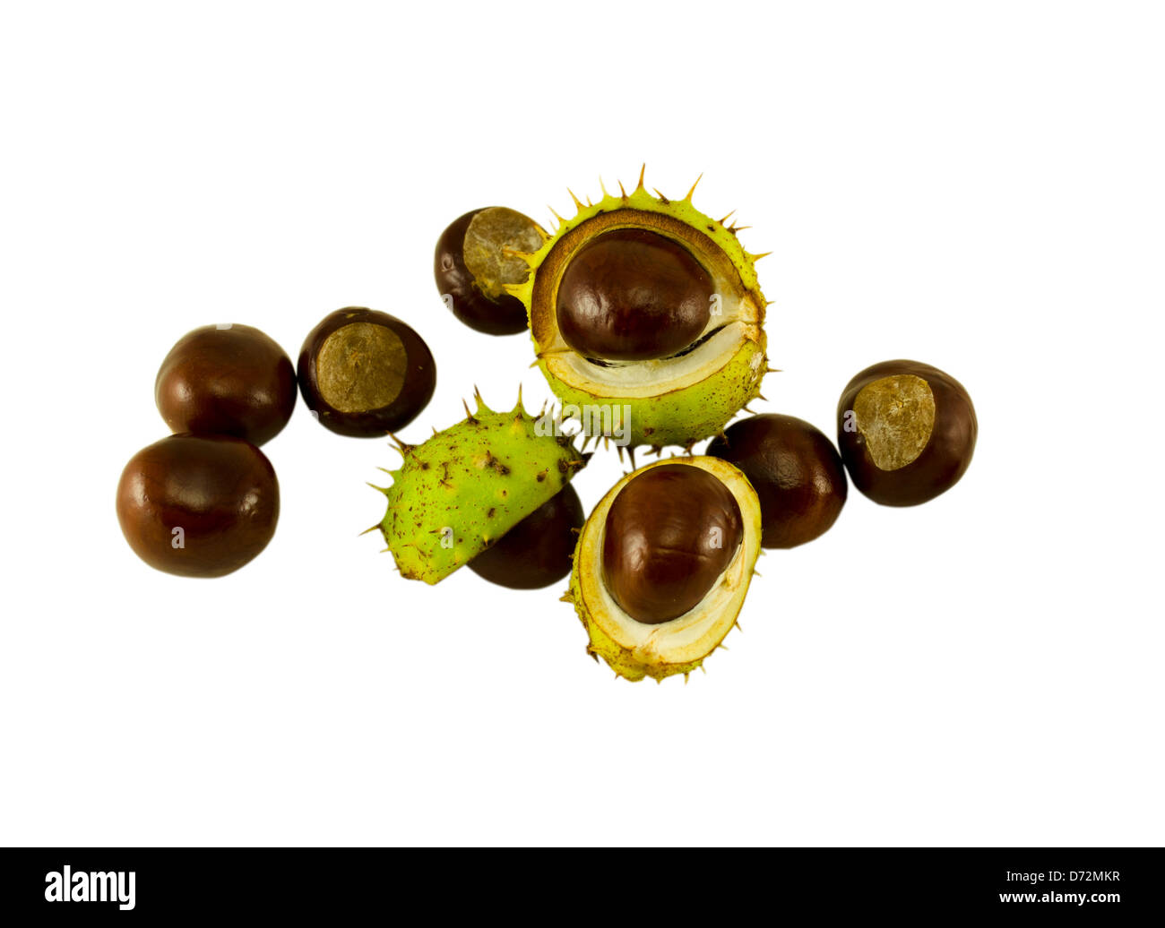 autumn chestnut composition and three chestnuts in the shell isolated on white background Stock Photo