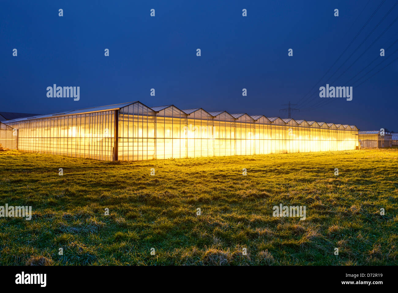 Illuminated greenhouses in the 4 and march landing, Hamburg, Germany, Europe Stock Photo