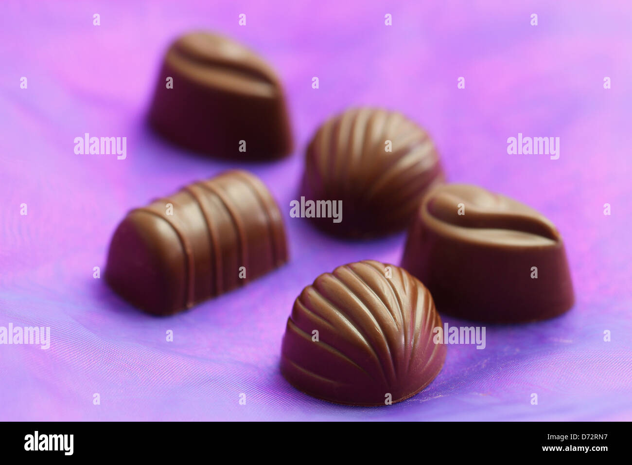 Milky chocolates on purple background Stock Photo