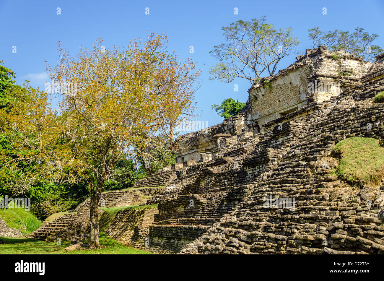 Ruined temple in the ancient Mayan city of Palenque in Mexico Stock Photo