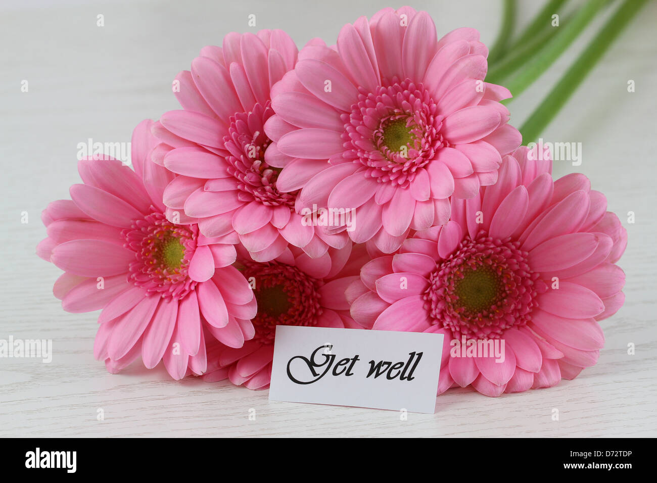 Get Well Note And Pink Gerbera Daisies Stock Photo Alamy get-well-note-and-pink-gerbera-daisies-stock-photo-alamy