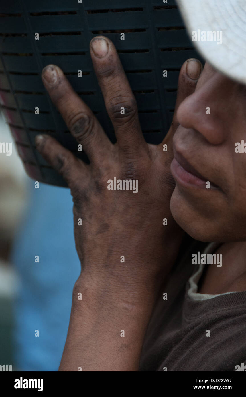 Close-up hands of Coffee plantation worker Costa Rica Stock Photo