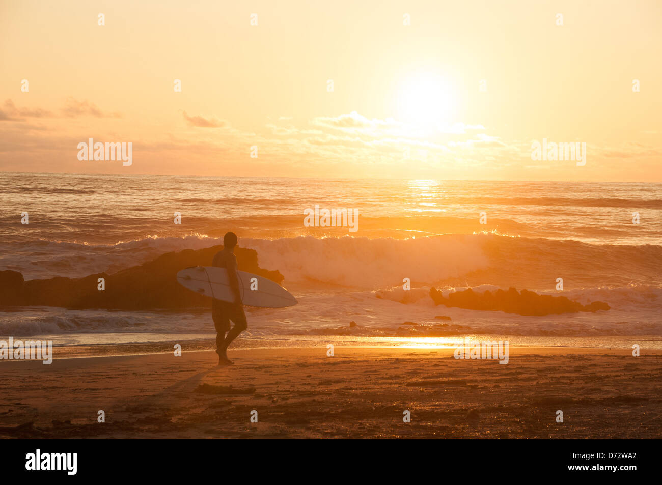Surfer Sunset Santa Teresa beach Costa Rica Stock Photo